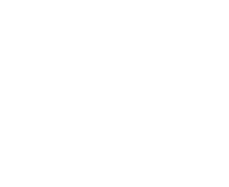 Nadruk Winter Is Coming - Direwolf - Przód
