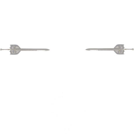 Nadruk Winter Is Coming 5 - Przód