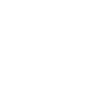 Nadruk RAMZES RMZ - Przód