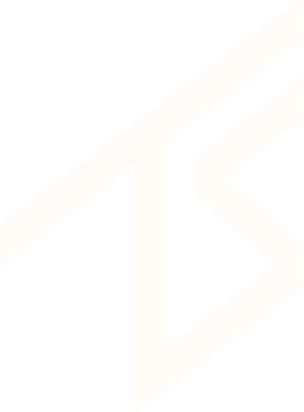 Nadruk TS double white logo - Przód