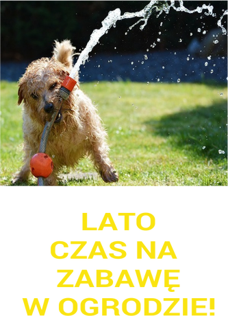 Nadruk LATO - Przód