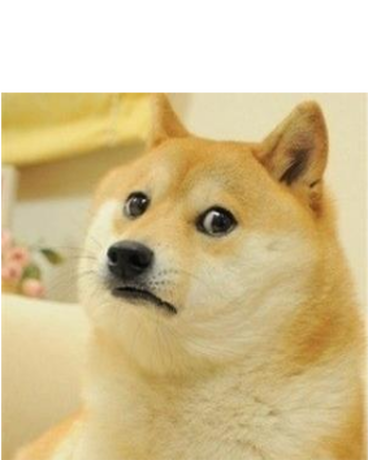 Nadruk sad doge meme :( - Przód