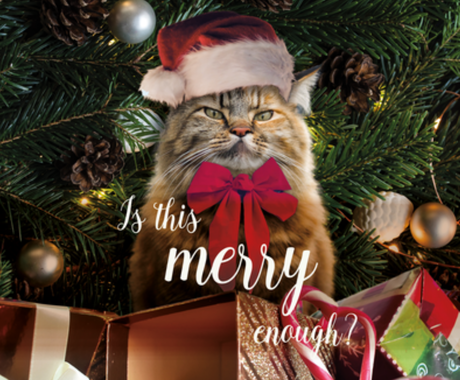 Nadruk świąteczne, święta, mikołaj, kot grumpy cat, is this grumpy enough? - Przód