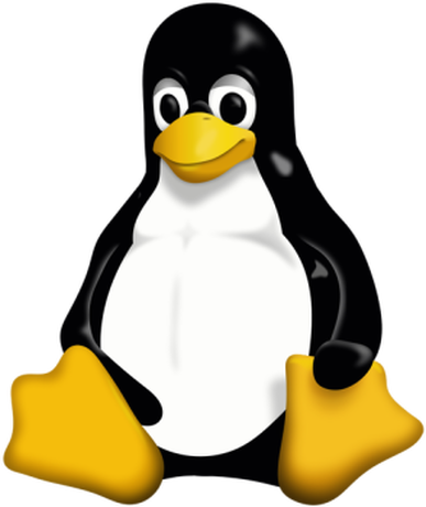 Nadruk Linux 004 - Przód