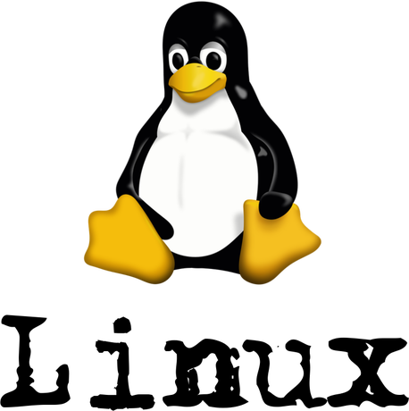 Nadruk Linux 008 - Przód
