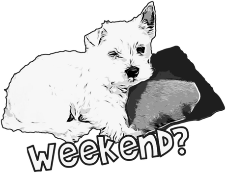 Nadruk Męska Weekend? Westie West Highland White Terrier 1 - Przód