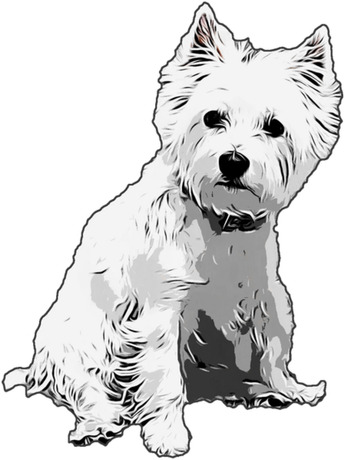 Nadruk Męska Westie West Highland White Terrier 4 - Przód