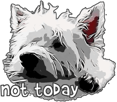 Nadruk Damska Westie West Highland White Terrier 6 Nie dzisiaj- Not today - Przód