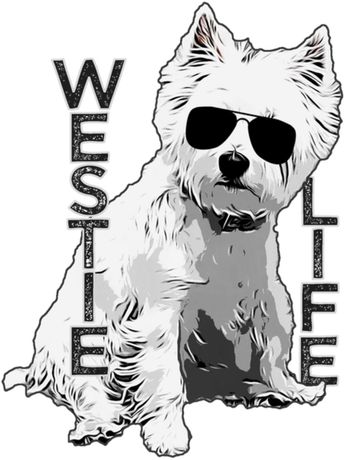 Nadruk Męska Westie Life West Highland White Terrier 8 - Przód