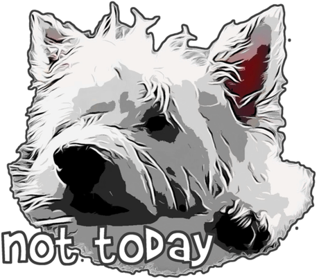 Nadruk Damska Westie West Highland White Terrier Not Today Nie Dzisiaj - Przód