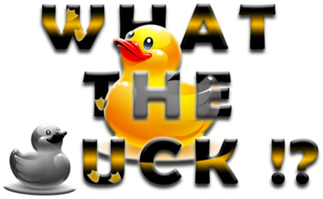Nadruk What the duck ? 2 - Przód