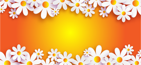Nadruk Kwiaty na pomarańczowym tle - Przód