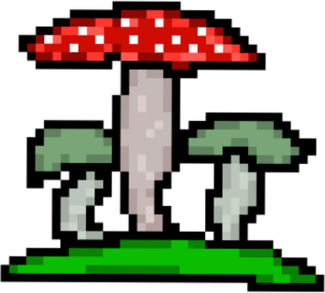 Nadruk High mushroom - Przód