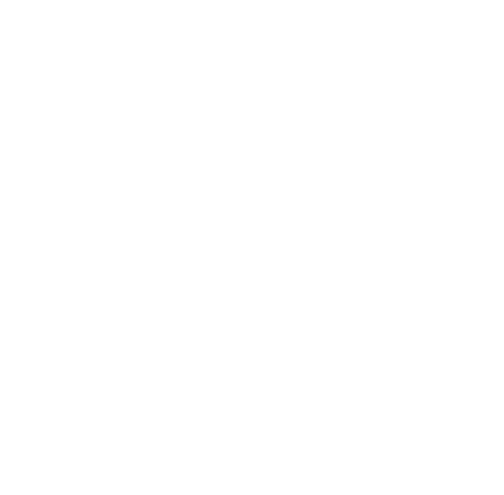 Nadruk DŻDŻOWNICA basic - Przód