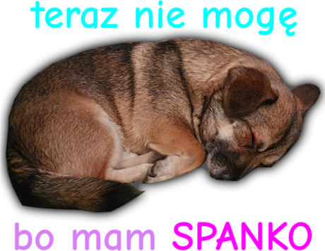 Nadruk Teraz nie mogę bo mam spanko - Przód