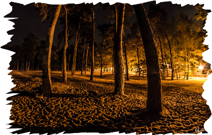 Nadruk ze zdjęciem plaży na Kamionkach nocą. - Przód