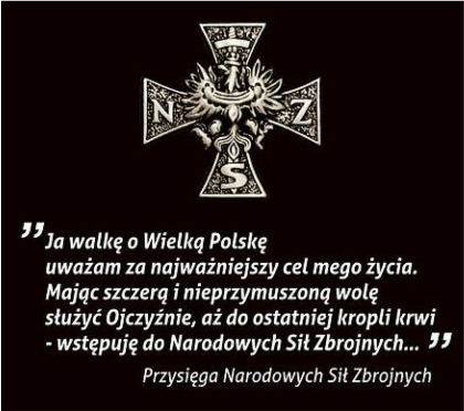 Nadruk PrzymierzeNWS - Przód