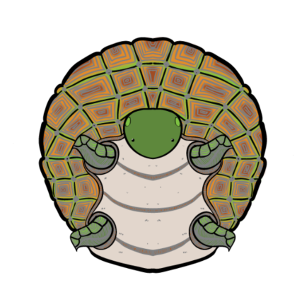Nadruk Żółwik - Przód