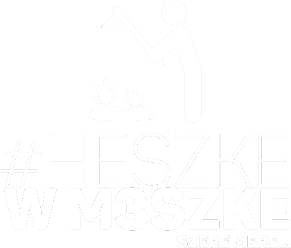 Nadruk Heszke w meszke... - Przód