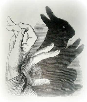 Nadruk rabbit hand shadow - Przód