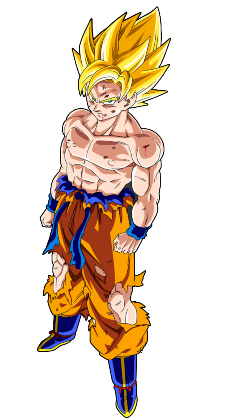 Nadruk Goku - Przód