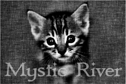 Nadruk Mystic River - Przód