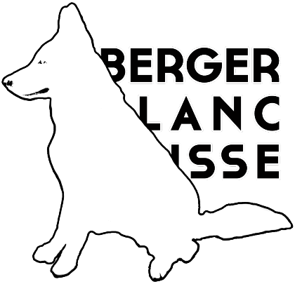 Nadruk Berger Blanc Suisse Tshirt - Przód