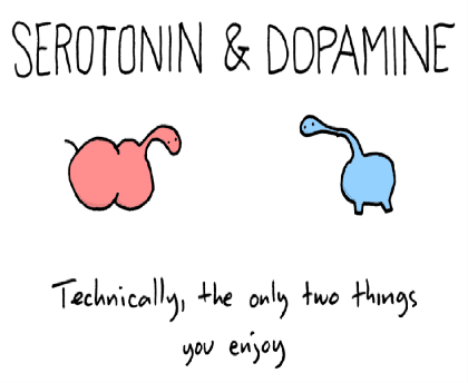 Nadruk oksytocyna, dopamina - Przód