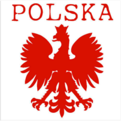 Nadruk White Patriots męska biała - Lewy