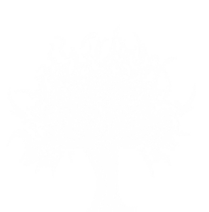 Nadruk Tree1 - Przód