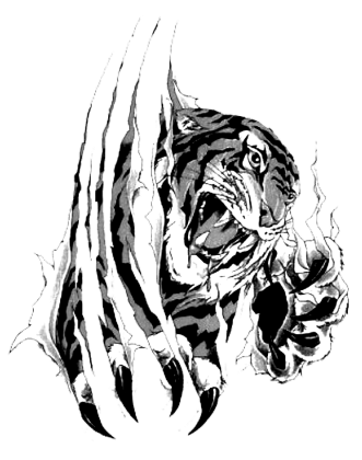 Nadruk Tiger - Przód