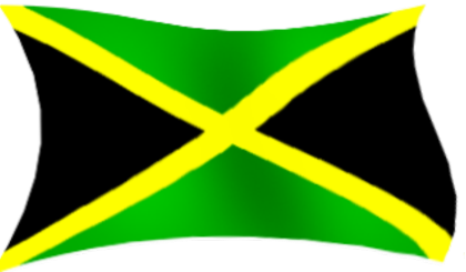 Nadruk jamajka - Tył