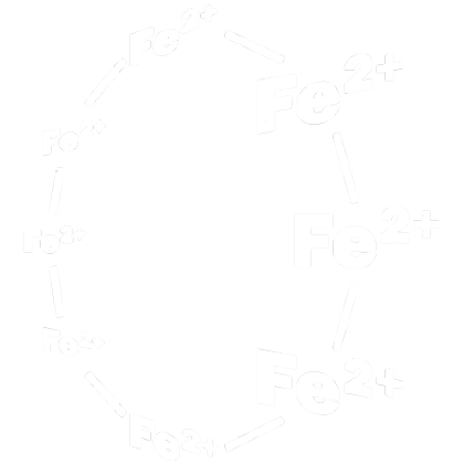 Nadruk Leonard Ferrous Wheel - Przód