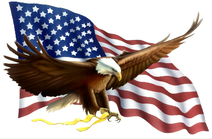 Nadruk z orłem i flagą USA - Przód