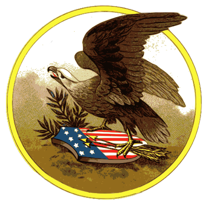 Nadruk Orzeł i flaga Ameryki - Przód