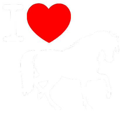 Nadruk I love horses czarna - Przód