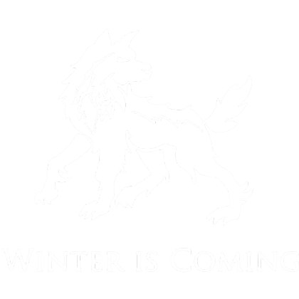 Nadruk Winter Is Coming VI - Przód