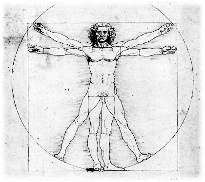 Nadruk leonardo da vinci vitruvian man - Przód