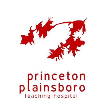 Nadruk Princeton Plainsboro - Przód