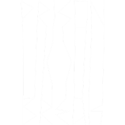 Nadruk Prison Break - Przód