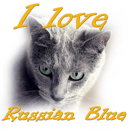 Nadruk Kocham Rosyjskiego Niebieskiego - Przód