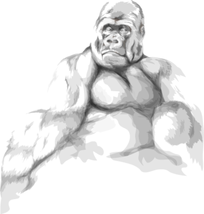 Nadruk Gorilla - Przód