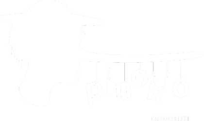 Nadruk Pinokio - Carlo Collodi - Przód