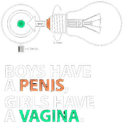 Nadruk Boys have a penis, girls hav a vagina - Przód
